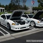 Here's a nice shot in the Saleen parking lot that allows you to compare 94 - 98 to a 99 model. The 99 Belongs to Stan Brown who is in Select Stangs here on MW.