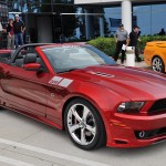 12-008 302 Mustang