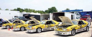 Collection of General Tire Saleen Mustangs