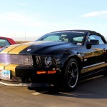 Mustangs Across America 2014