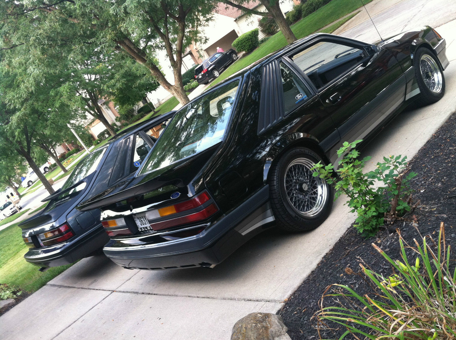 1986 Ford saleen clutch #8