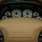 98-0136 S281 Cobra