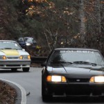 Tail of the Dragon 2015