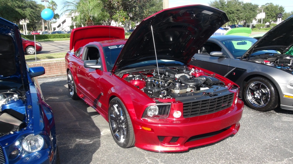 Bill currie ford mustang show #7