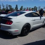 Mustangs on the Niagara