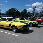 Mustangs on the Niagara