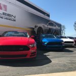 2019 S302 Saleen Mustangs